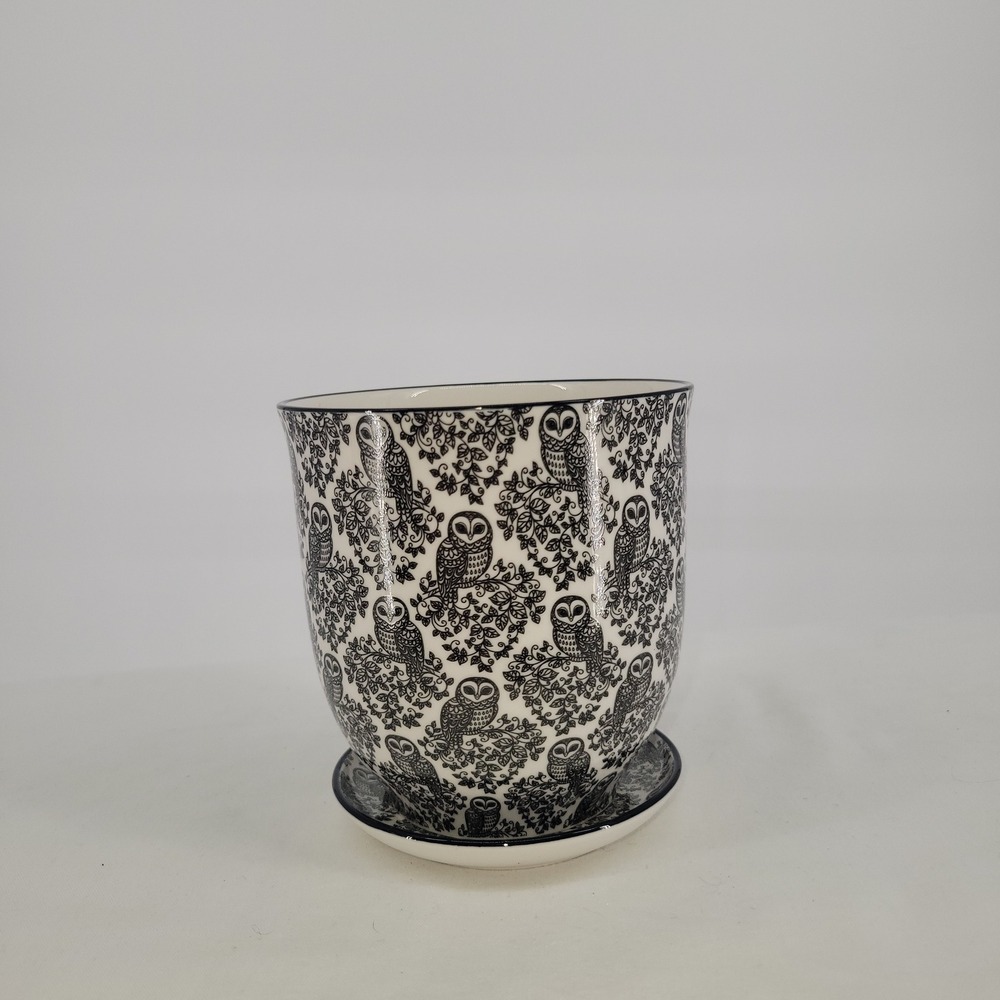 Black and White Owl Ceramic Planter with Saucer Set Botanical Bird Print Pot